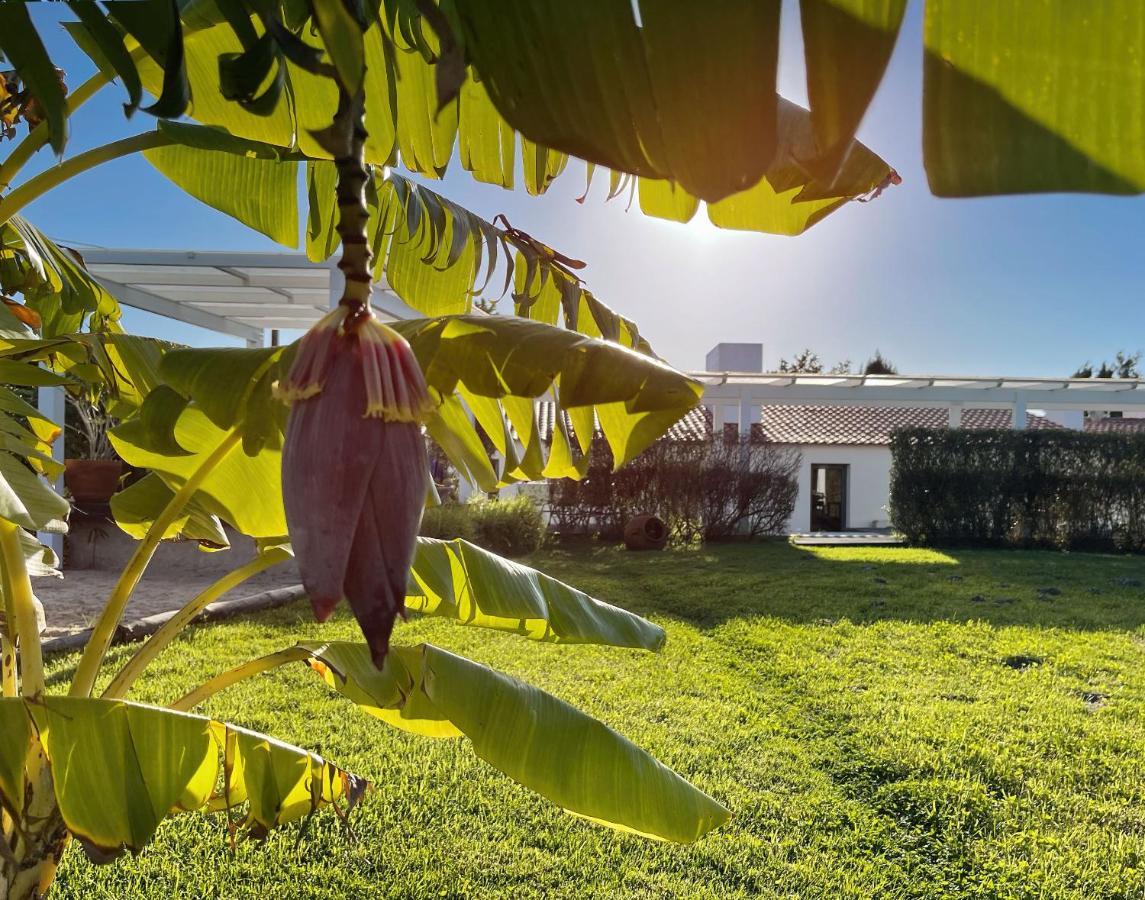 Herdade Do Kuanza Zambujeira do Mar Εξωτερικό φωτογραφία